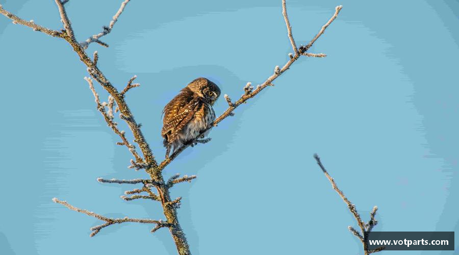 无惧失败，追逐胜利！